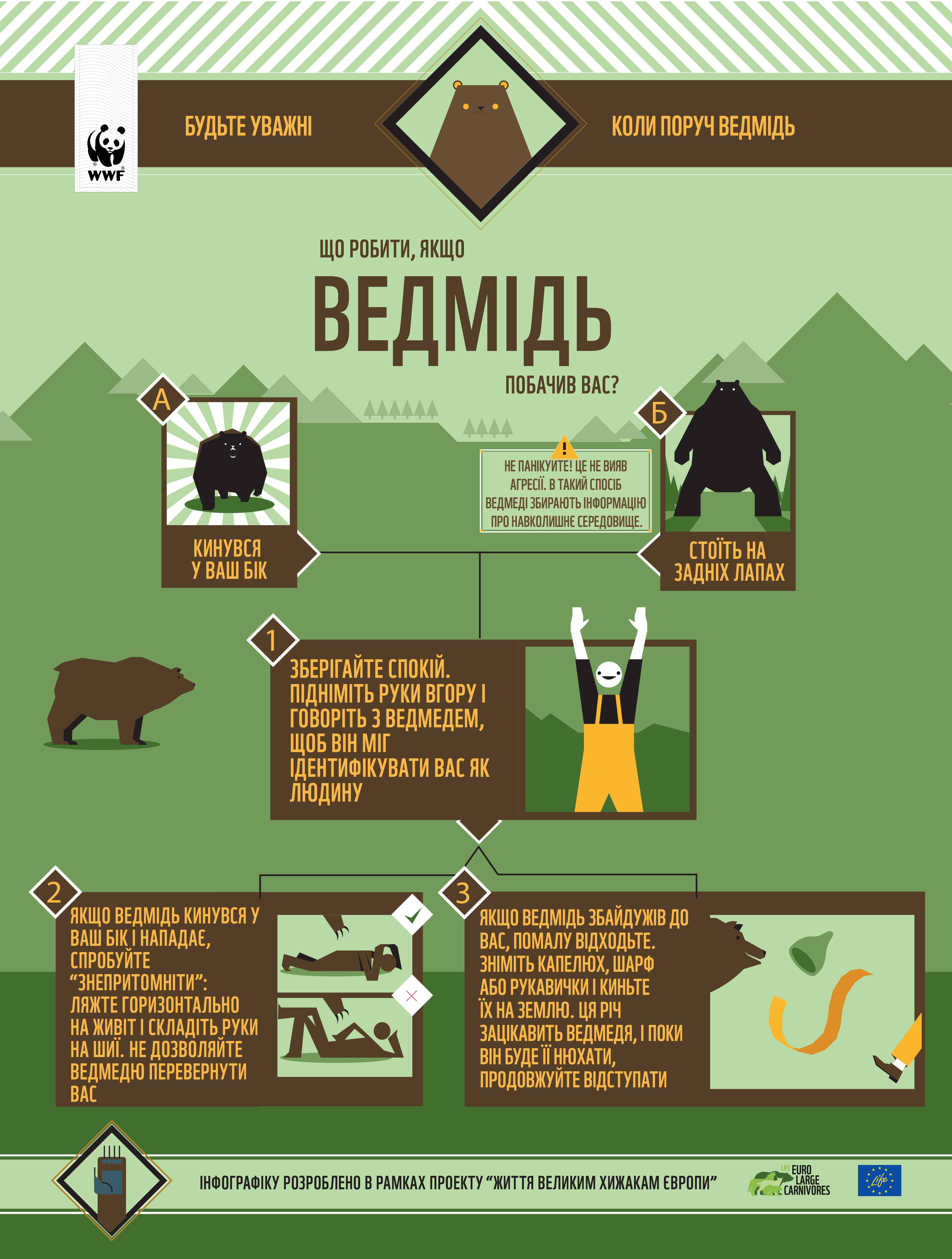 Бежать или замереть: как выжить при встрече с медведем в Карпатах